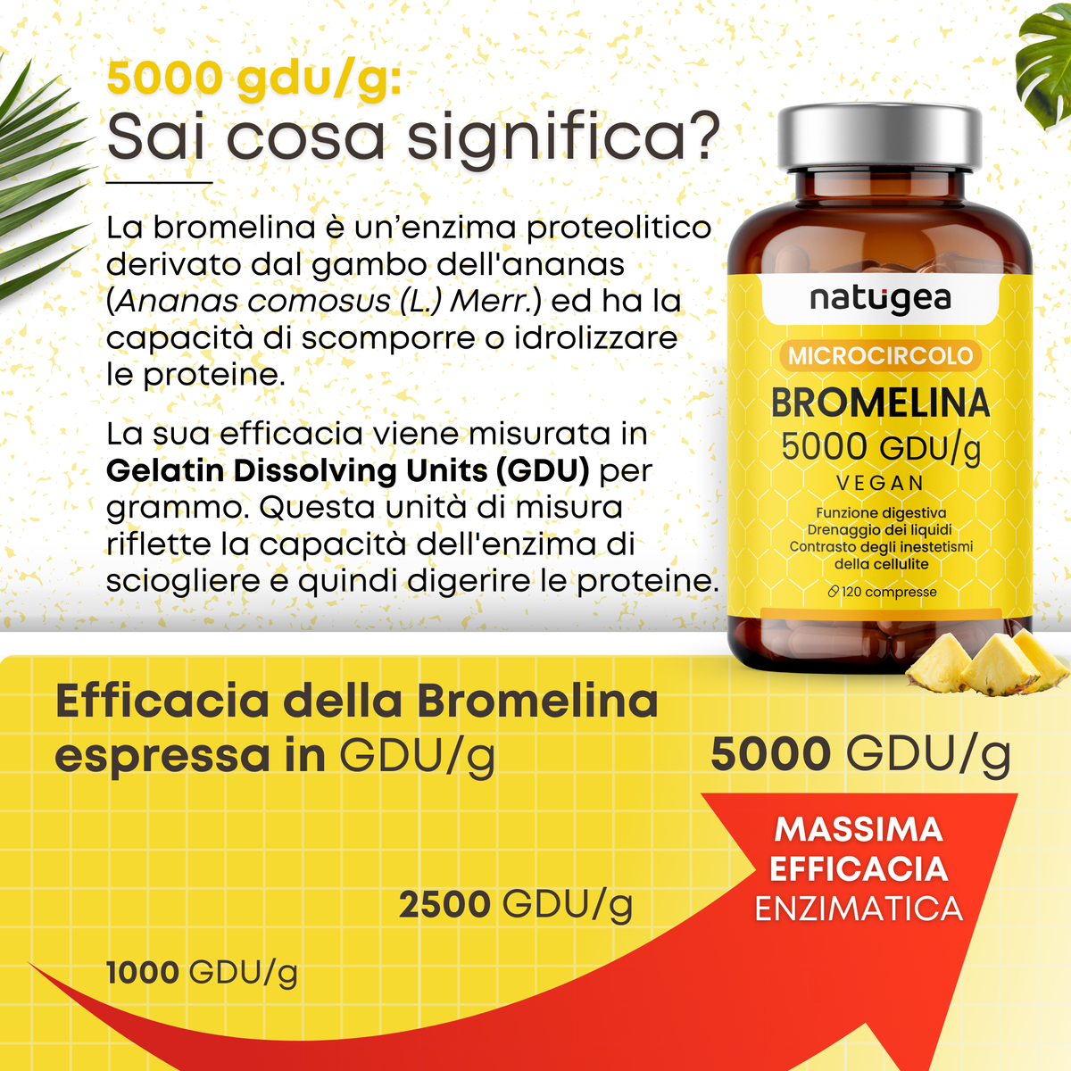 Bromelina 5000 GDU/g da Ananas – 120 compresse vegane