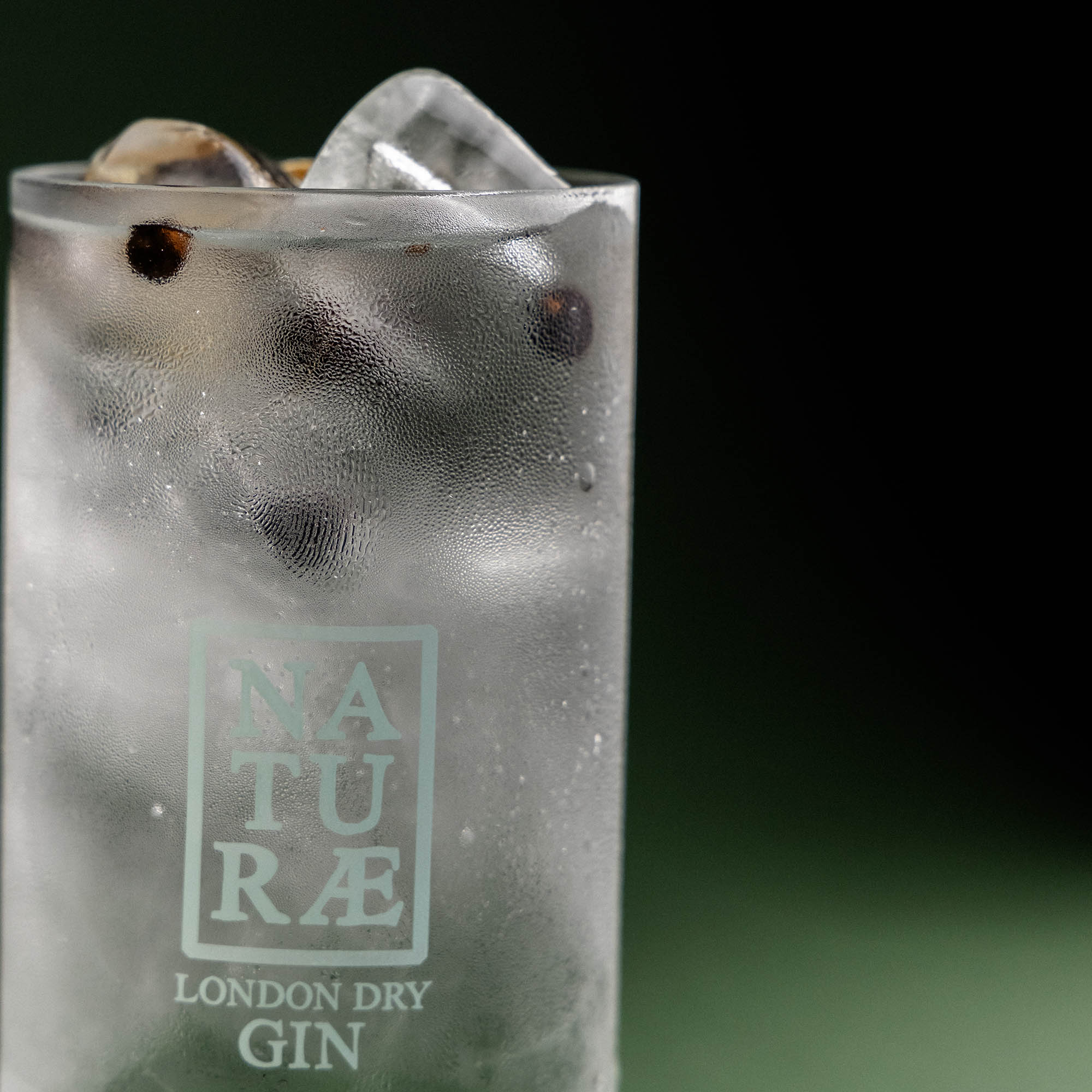 Naturae Gin Fructetum – Geschenkbox Sonderedition