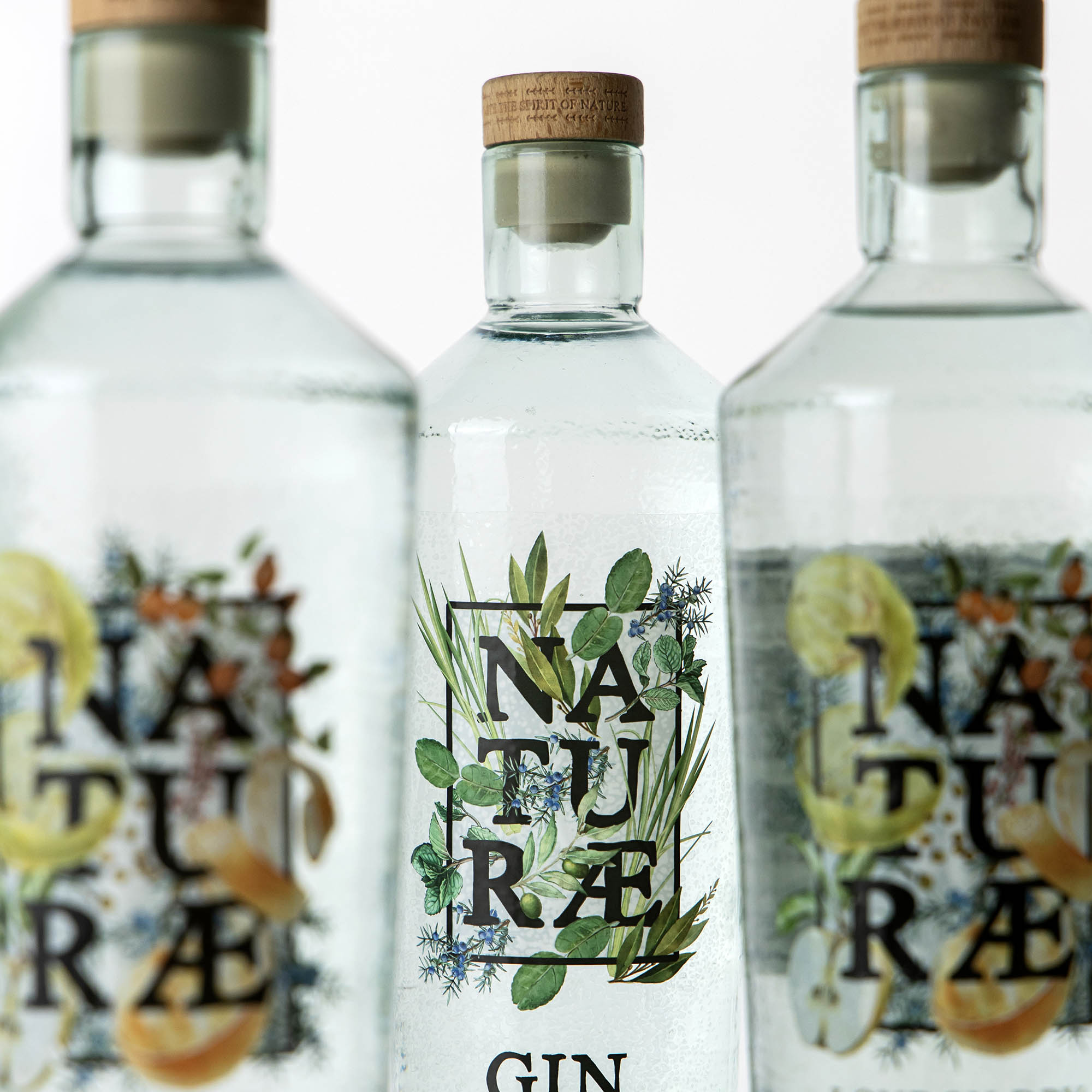 Premium Party Kit Fructetum &amp; Herbarium