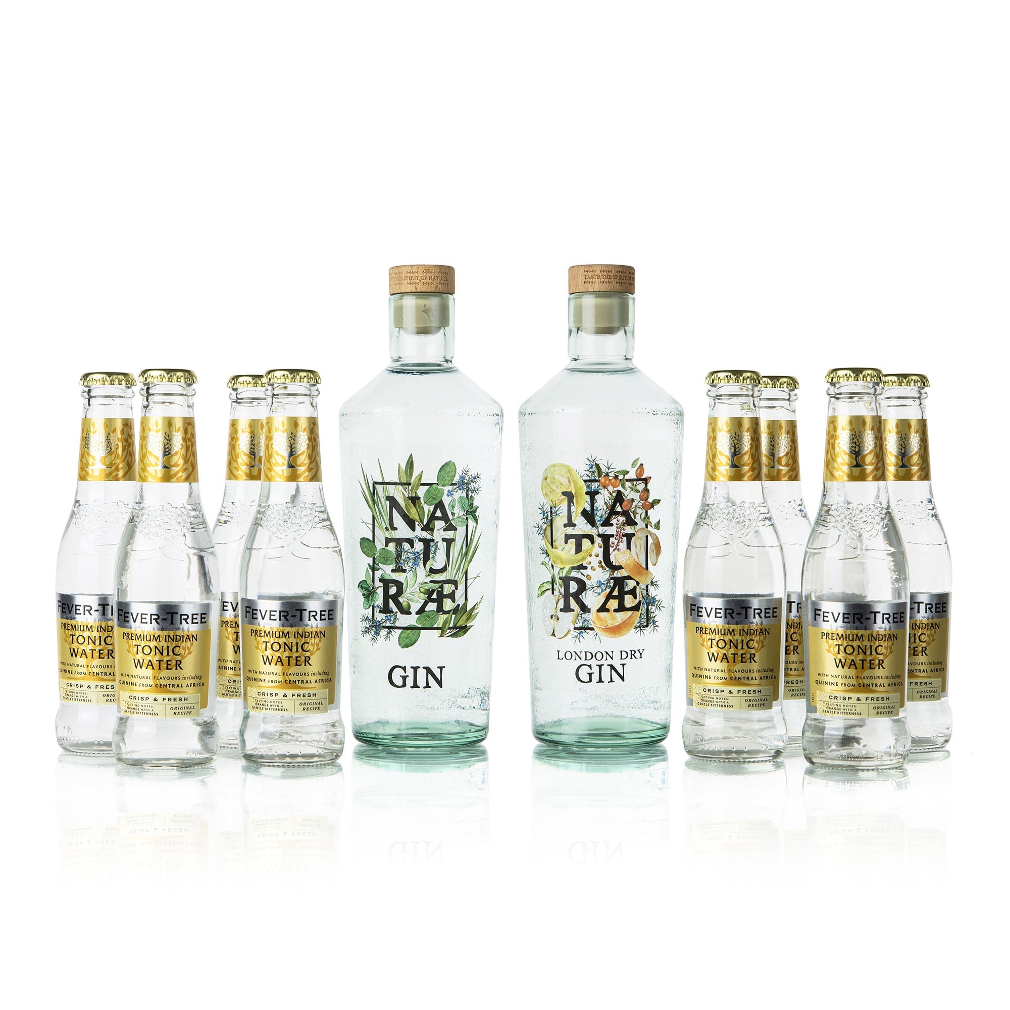 Premium Party Kit Fructetum &amp; Herbarium