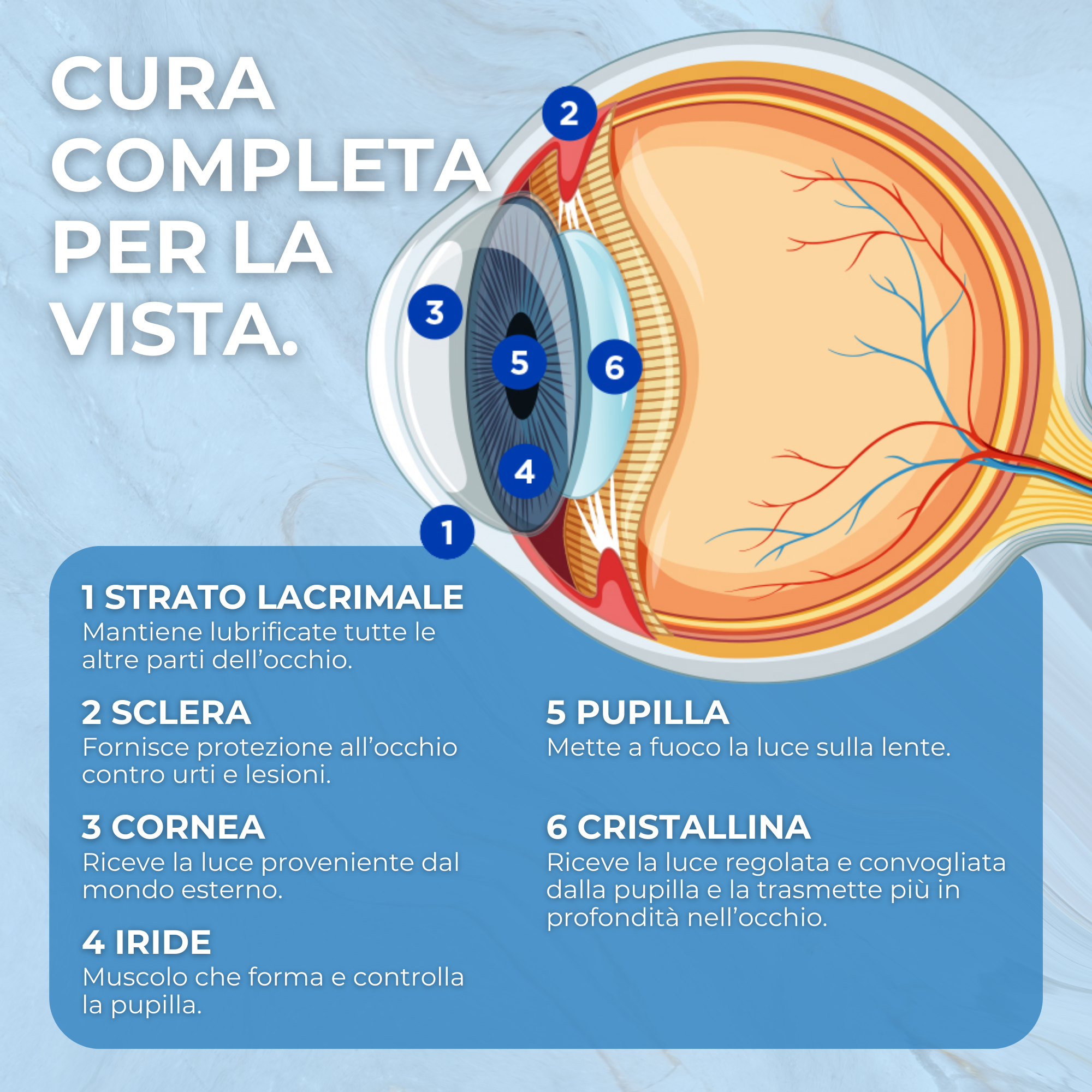 VisionUp Lutein und Zeaxanthin