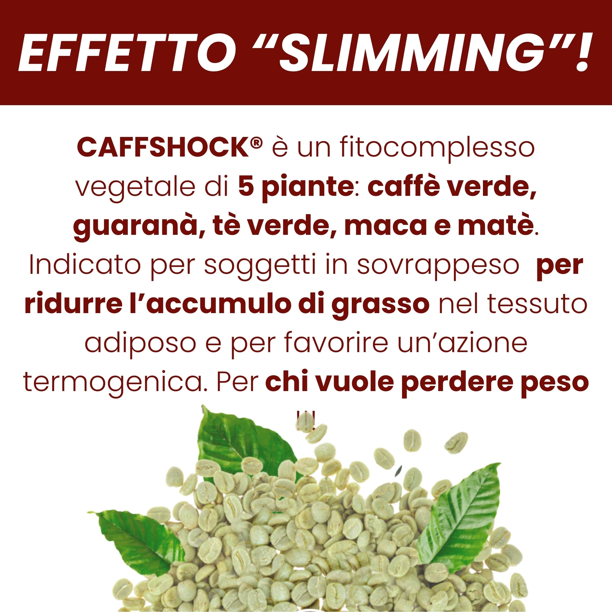 Thermogenes THERMOFAT® 